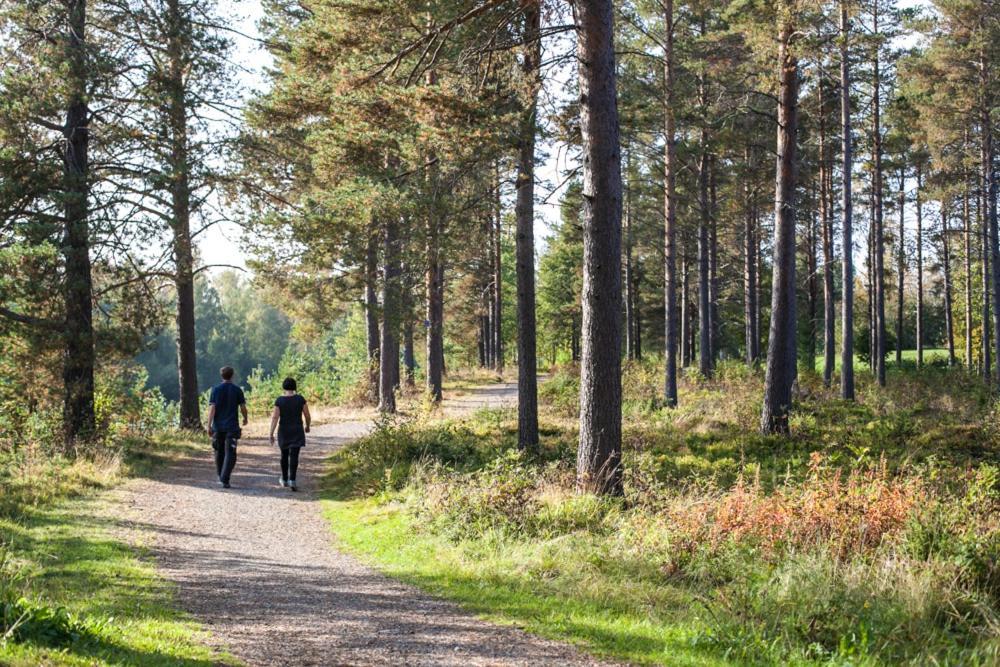 Skelleftea Camping Экстерьер фото